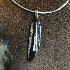 Orthoceras Fossil Pendant